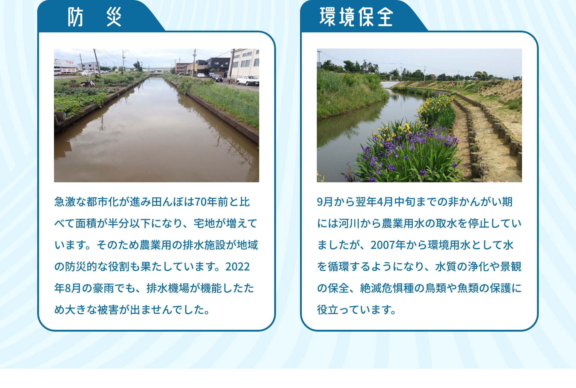 防災　急激な都市化が進み田んぼは70年前と比べて面積が半分以下になり、宅地が増えています。そのため農業用の排水施設が地域の防災的な役割も果たしています。2022年8月の豪雨でも、排水機場が機能したため大きな被害が出ませんでした。｜環境保全　9月から翌年4月中旬までの非かんがい期には河川から農業用水の取水を停止していましたが、2007年から環境用水として水を循環するようになり、水質の浄化や景観の保全、絶滅危惧種の鳥類や魚類の保護に役立っています。
