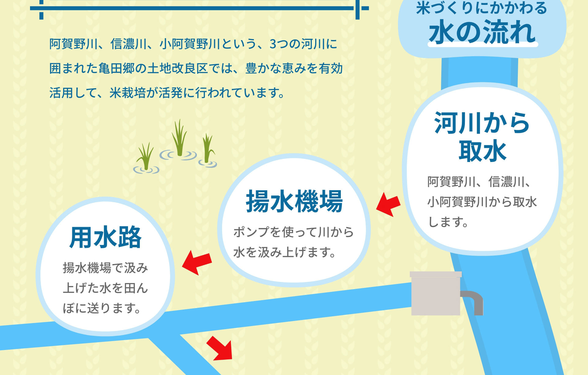 阿賀野川、信濃川、小阿賀野川という、3つの河川に囲まれた亀田郷の土地改良区では、豊かな恵みを有効活用して、米栽培が活発に行われています。｜米づくりにかかわる水の流れ　河川から取水：阿賀野川、信濃川、小阿賀野川から取水します。　揚水機場：ポンプを使って川から水を汲み上げます。　用水路：揚水機場で汲み上げた水を田んぼに送ります。