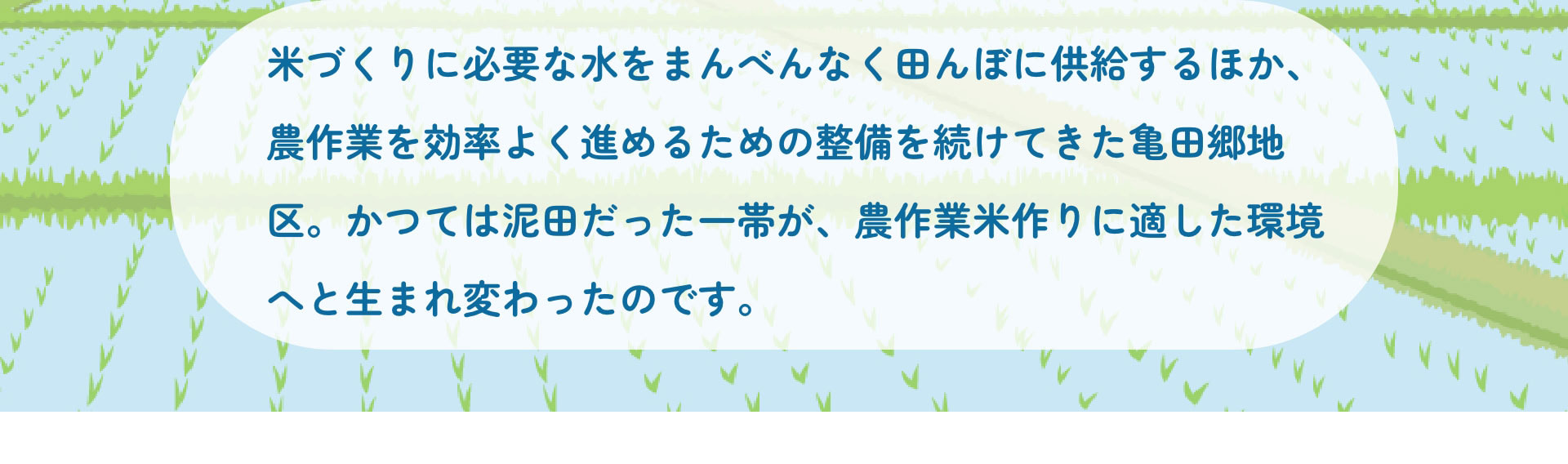 米づくりに必要な水をまんべんなく田んぼに供給するほか、農作業を効率よく進めるための整備を続けてきた亀田郷地区。かつては泥田だった一帯が、農作業米作りに適した環境へと生まれ変わったのです。