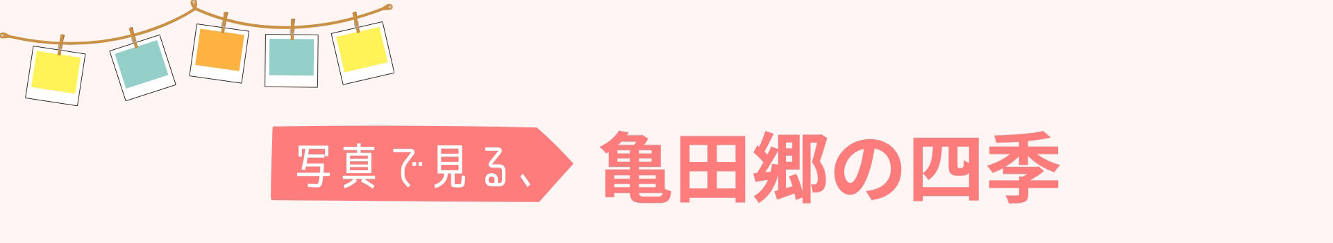 写真で見る、亀田郷の四季