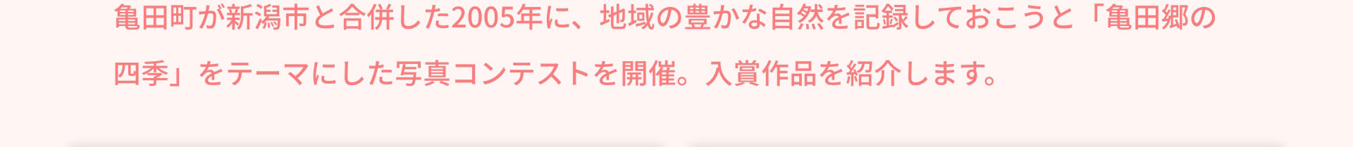 亀田町が新潟市と合併した2005年に、地域の豊かな自然を記録しておこうと「亀田郷の四季」をテーマにした写真コンテストを開催。入賞作品を紹介します。