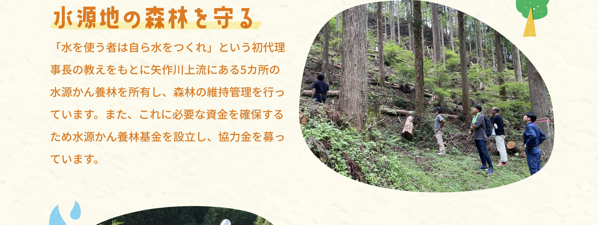 水源地の森林を守る　「水を使う者は自ら水をつくれ」という初代理事長の教えをもとに矢作川上流にある5カ所の水源かん養林を所有し、森林の維持管理を行っています。また、これに必要な資金を確保するため水源かん養林基金を設立し、協力金を募っています。