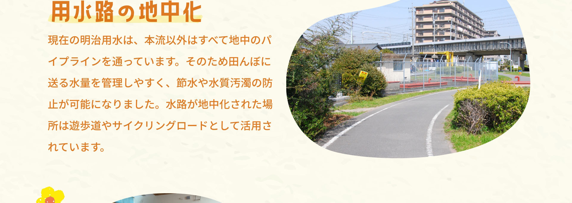 用水路の地中化　現在の明治用水は、本流以外はすべて地中のパイプラインを通っています。そのため田んぼに送る水量を管理しやすく、節水や水質汚濁の防止が可能になりました。水路が地中化された場所は遊歩道やサイクリングロードとして活用されています。