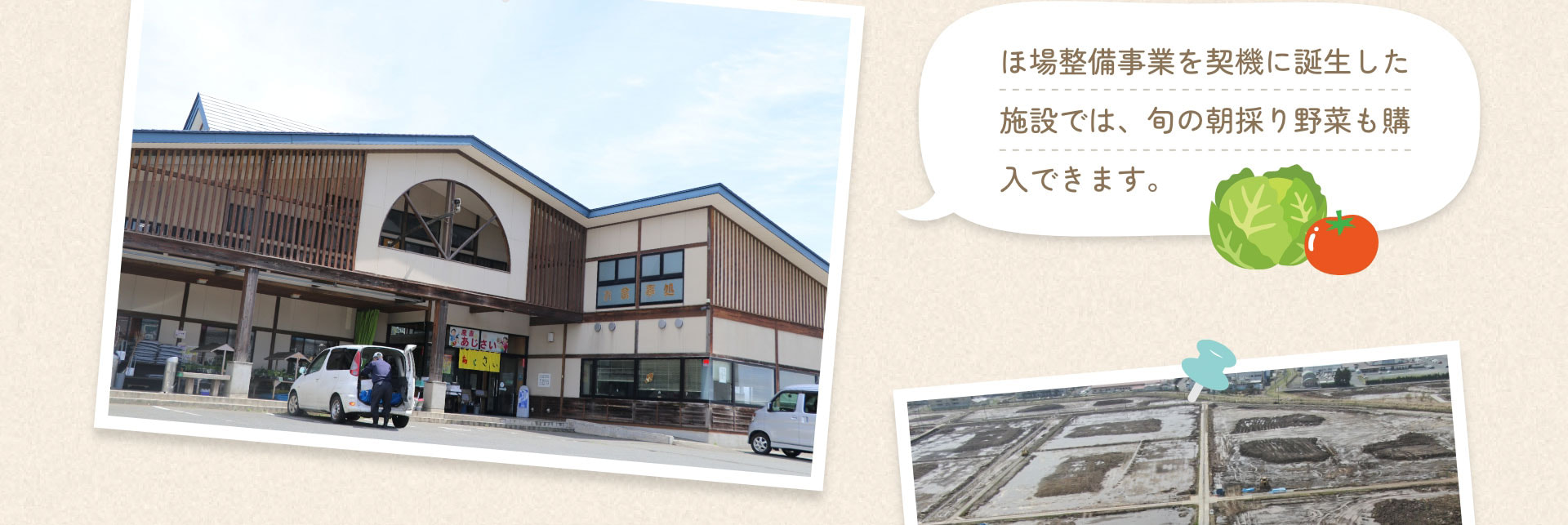 ほ場整備事業を契機に誕生した施設では、旬の朝採り野菜も購入できます。