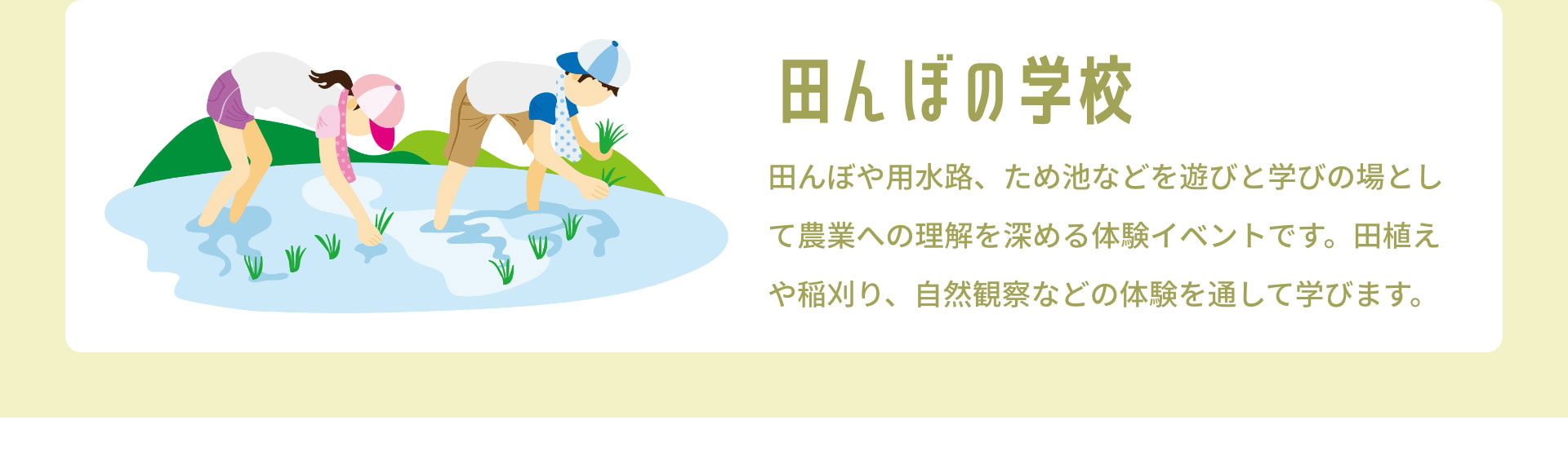 田んぼの学校　田んぼや用水路、ため池などを遊びと学びの場として農業への理解を深める体験イベントです。田植えや稲刈り、自然観察などの体験を通して学びます。