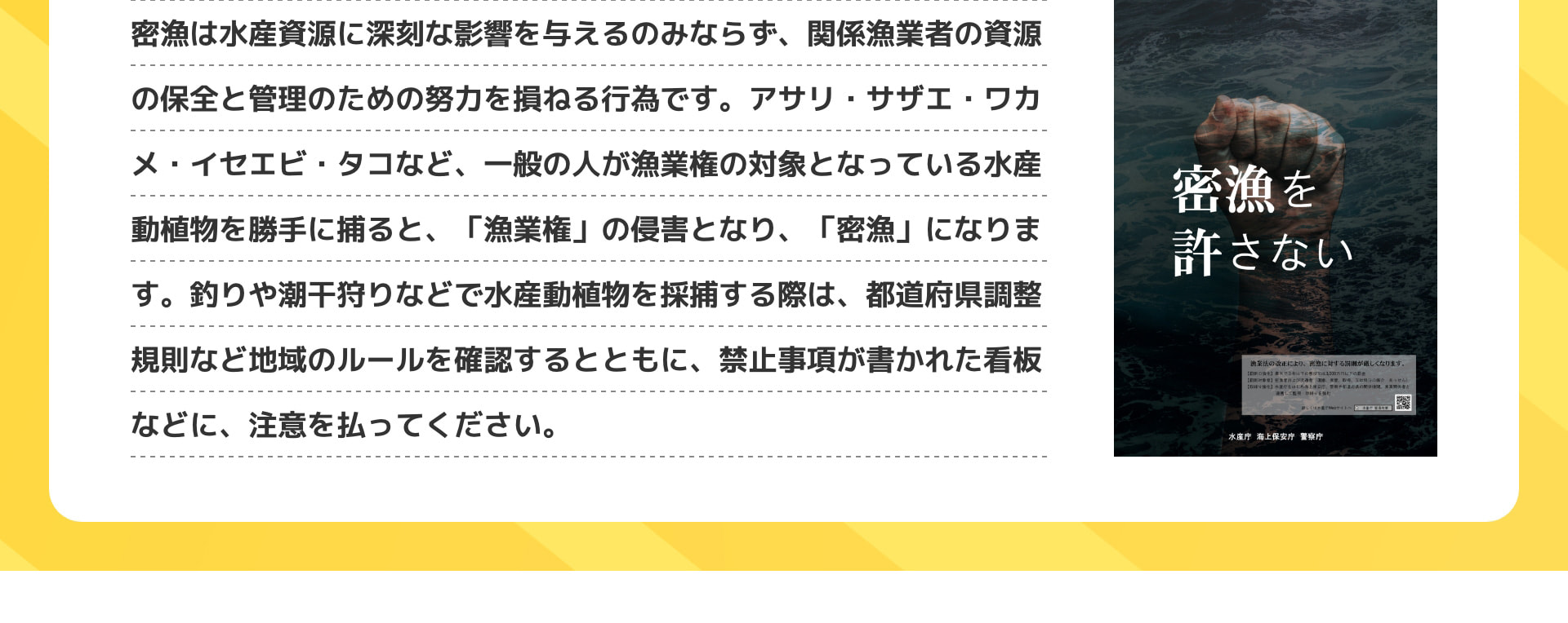 密漁は水産資源に深刻な影響を与えるのみならず、関係漁業者の資源の保全と管理のための努力を損ねる行為です。アサリ・サザエ・ワカメ・イセエビ・タコなど、一般の人が漁業権の対象となっている水産動植物を勝手に捕ると、「漁業権」の侵害となり、「密漁」になります。釣りや潮干狩りなどで水産動植物を採捕する際は、都道府県調整規則など地域のルールを確認するとともに、禁止事項が書かれた看板などに、注意を払ってください。