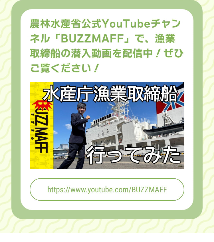 農林水産省公式YouTubeチャンネル「BUZZMAFF」で、漁業取締船の潜入動画を配信中!ぜひご覧ください! 水産庁漁業取締船 行ってみた https://www.youtube.com/BUZZMAFF