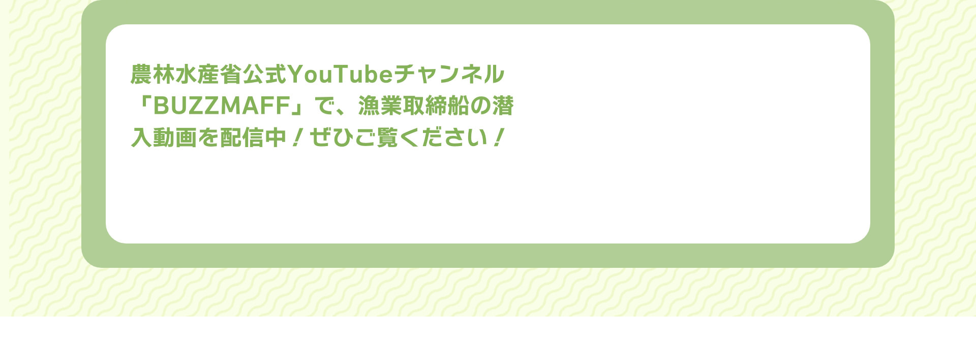 農林水産省公式YouTubeチャンネル「BUZZMAFF」で、漁業取締船の潜入動画を配信中！ぜひご覧ください！