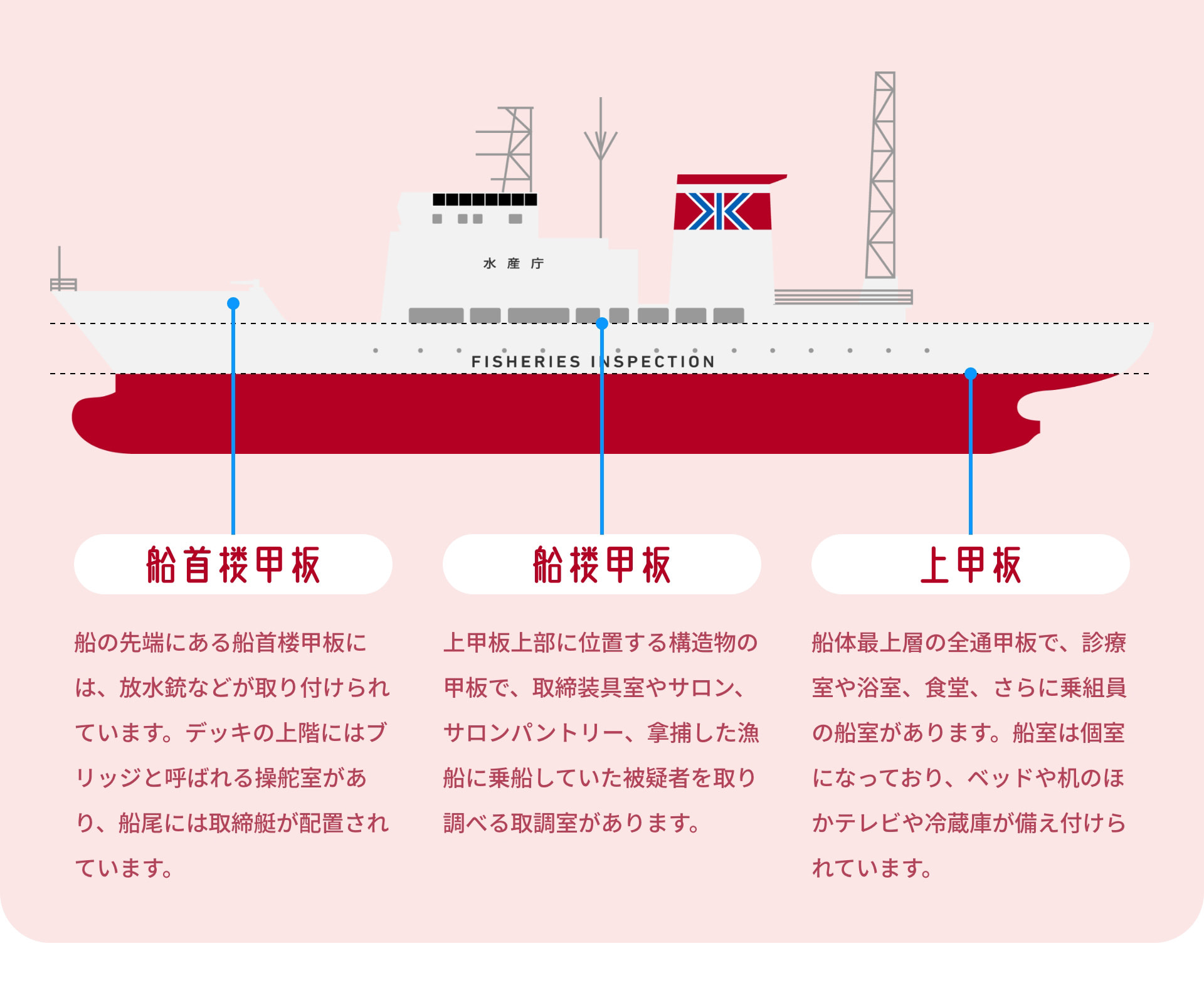 船首楼甲板 船の先端にある船首楼甲板には、放水銃などが取り付けられています。デッキの上階にはブリッジと呼ばれる操舵室があり、船尾には取締艇が配置されています。 船楼甲板 上甲板上部に位置する構造物の甲板で、取締装具室やサロン、サロンパントリー、拿捕した漁船に乗船していた被疑者を取り調べる取調室があります。 上甲板 船体最上層の全通甲板で、診療室や浴室、食堂、さらに乗組員の船室があります。船室は個室になっており、ベッドや机のほかテレビや冷蔵庫が備え付けられています。