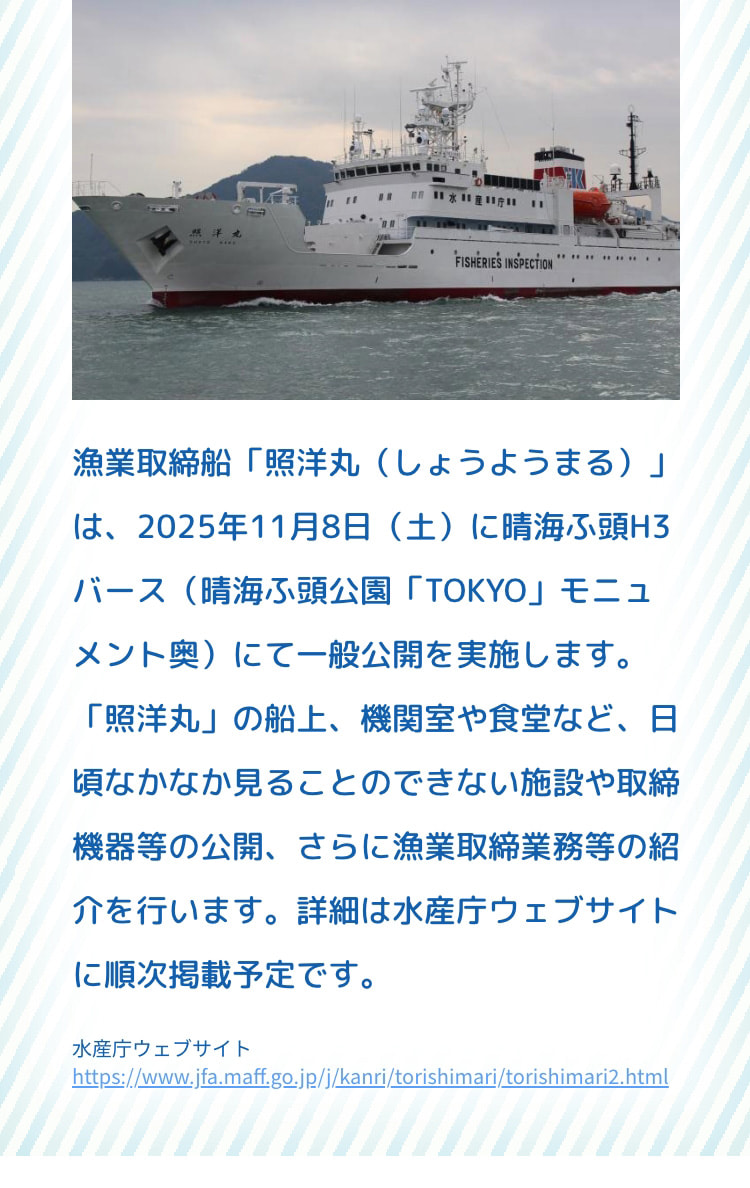 漁業取締船「照洋丸(しょうようまる)」は、2025年11月8日(土)に晴海ふ頭H3バース(晴海ふ頭公園「TOKYO」モニュメント奥)にて一般公開を実施します。「照洋丸」の船上、機関室や食堂など、日頃なかなか見ることのできない施設や取締機器等の公開、さらに漁業取締業務等の紹介を行います。詳細は水産庁ウェブサイトに順次掲載予定です。 水産庁ウェブサイト  https://www.jfa.maff.go.jp/j/kanri/torishimari/torishimari2.html
