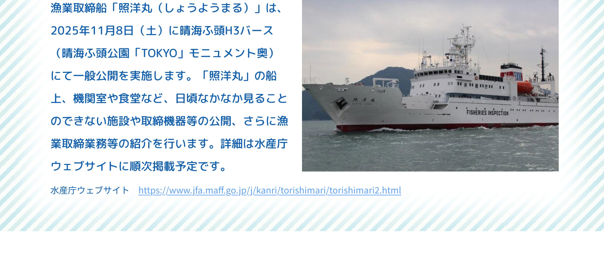漁業取締船「照洋丸(しょうようまる)」は、2025年11月8日(土)に晴海ふ頭H3バース(晴海ふ頭公園「TOKYO」モニュメント奥)にて一般公開を実施します。「照洋丸」の船上、機関室や食堂など、日頃なかなか見ることのできない施設や取締機器等の公開、さらに漁業取締業務等の紹介を行います。詳細は水産庁ウェブサイトに順次掲載予定です。 水産庁ウェブサイト  https://www.jfa.maff.go.jp/j/kanri/torishimari/torishimari2.html