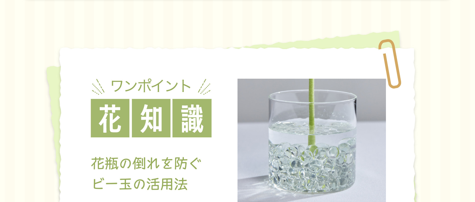 ワンポイント花知識 花瓶の倒れを防ぐビー玉の活用法