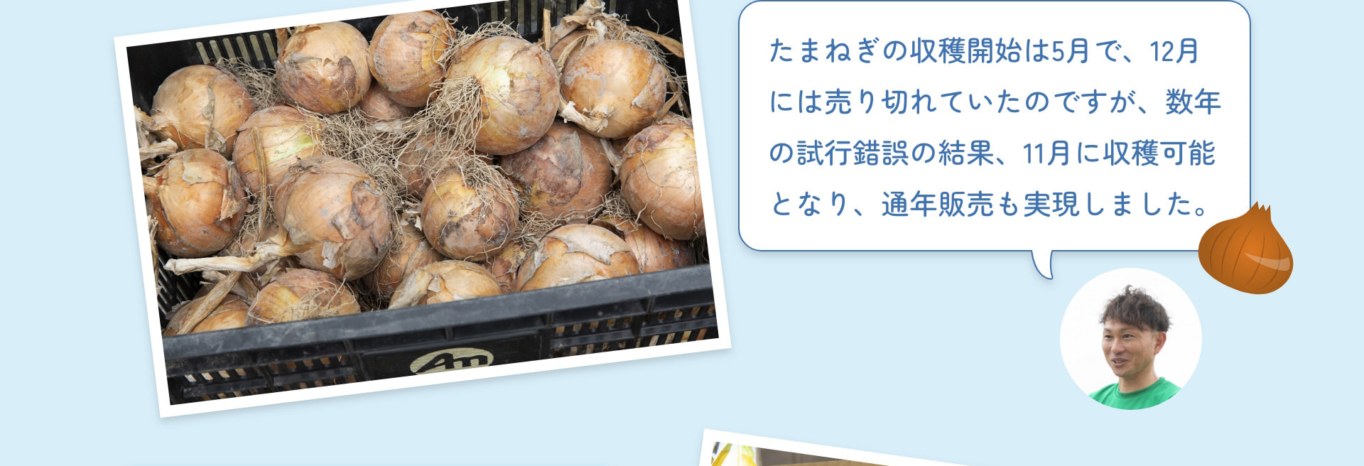 たまねぎの収穫開始は5月で、12月には売り切れていたのですが、数年の試行錯誤の結果、11月に収穫可能となり、通年販売も実現しました。