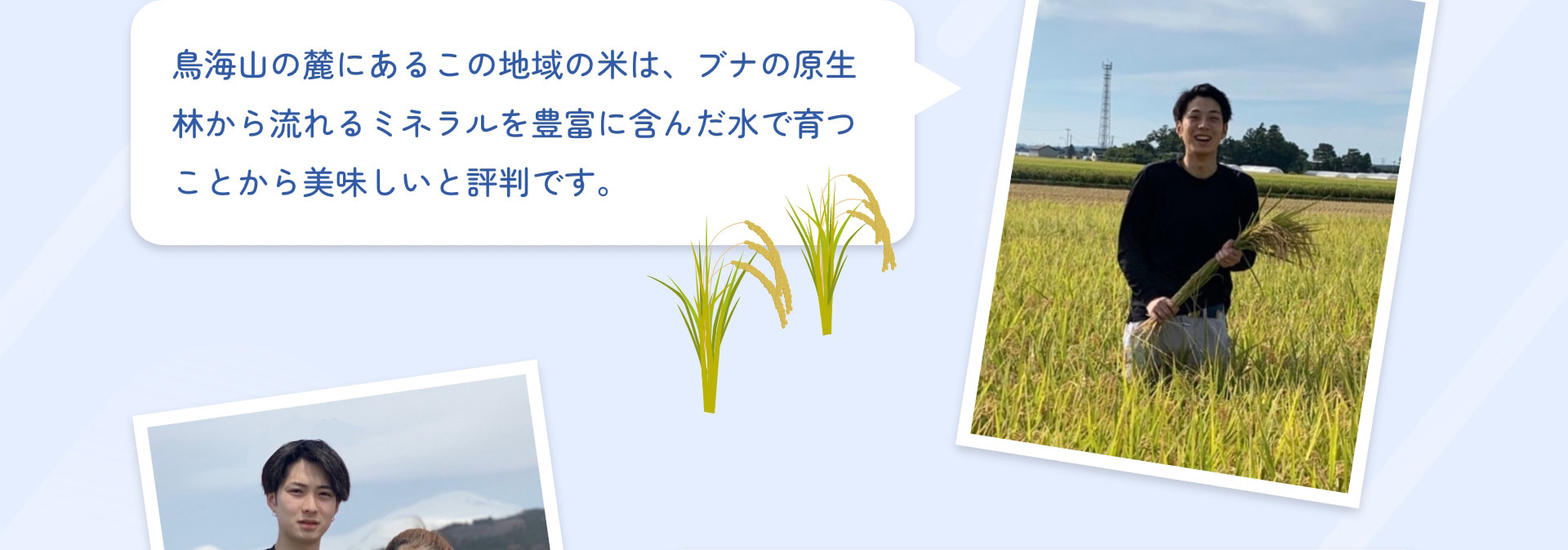 鳥海山の麓にあるこの地域の米は、ブナの原生林から流れるミネラルを豊富に含んだ水で育つことから美味しいと評判です。