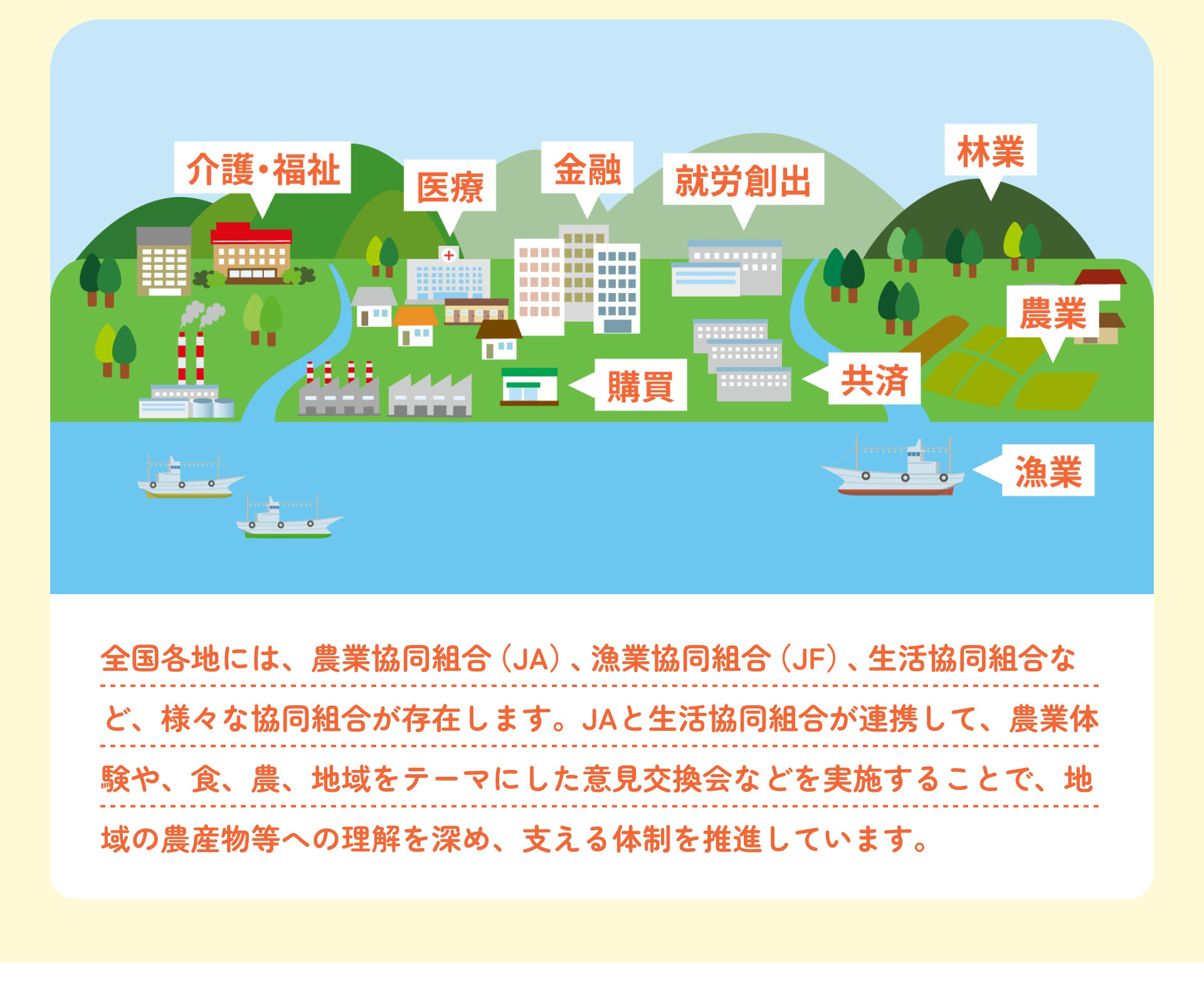 介護・福祉 医療 金融 就労創出 林業 農業 共済 購買 漁業 全国各地には、農業協同組合（JA）、漁業協同組合（JF）、生活協同組合など、様々な協同組合が存在します。JAと生活協同組合が連携して、農業体験や、食、農、地域をテーマにした意見交換会などを実施することで、地域の農産物等への理解を深め、支える体制を推進しています。