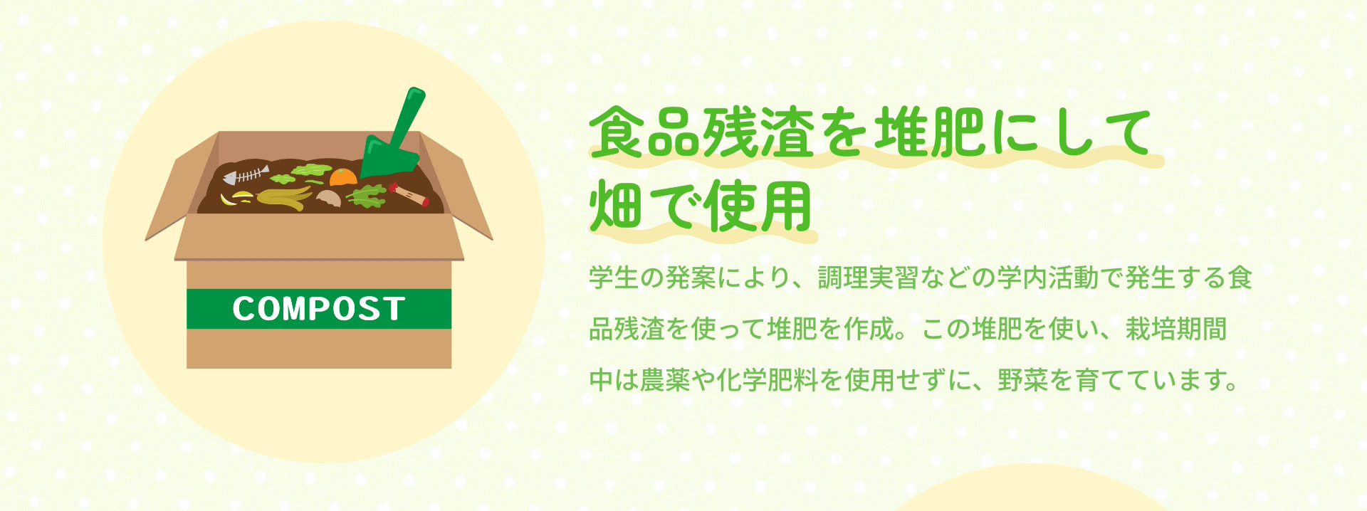 食品残渣を堆肥にして畑で使用 学生の発案により、調理実習などの学内活動で発生する食品残渣を使って堆肥を作成。この堆肥を使い、栽培期間中は農薬や化学肥料を使用せずに、野菜を育てています。