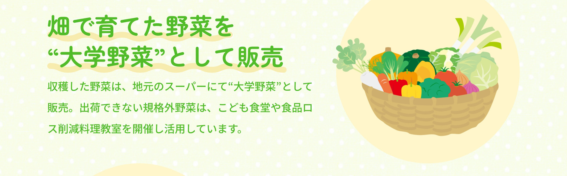 畑で育てた野菜を“大学野菜”として販売 収穫した野菜は、地元のスーパーにて“大学野菜”として販売。出荷できない規格外野菜は、こども食堂や食品ロス削減料理教室を開催し活用しています。