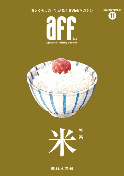 2025年11月号米