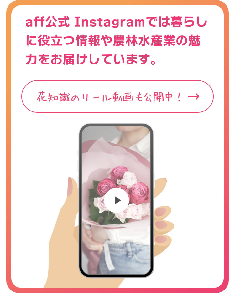 aff公式 Instagramでは暮らしに役立つ情報や農林水産業の魅力をお届けしています。花知識のリール動画も公開中! https://www.instagram.com/aff_maffjapan/