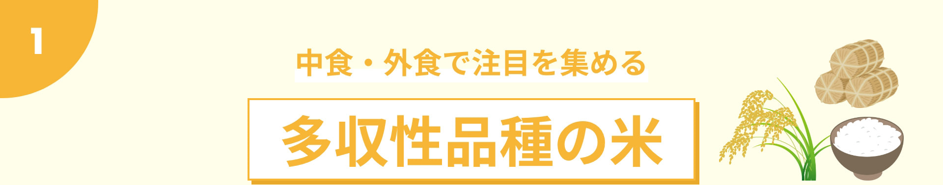 中食・外食で注目を集める多収性品種の米