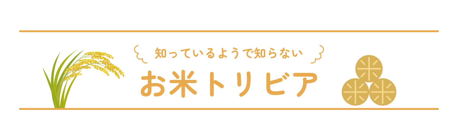 知っているようで知らないお米トリビア