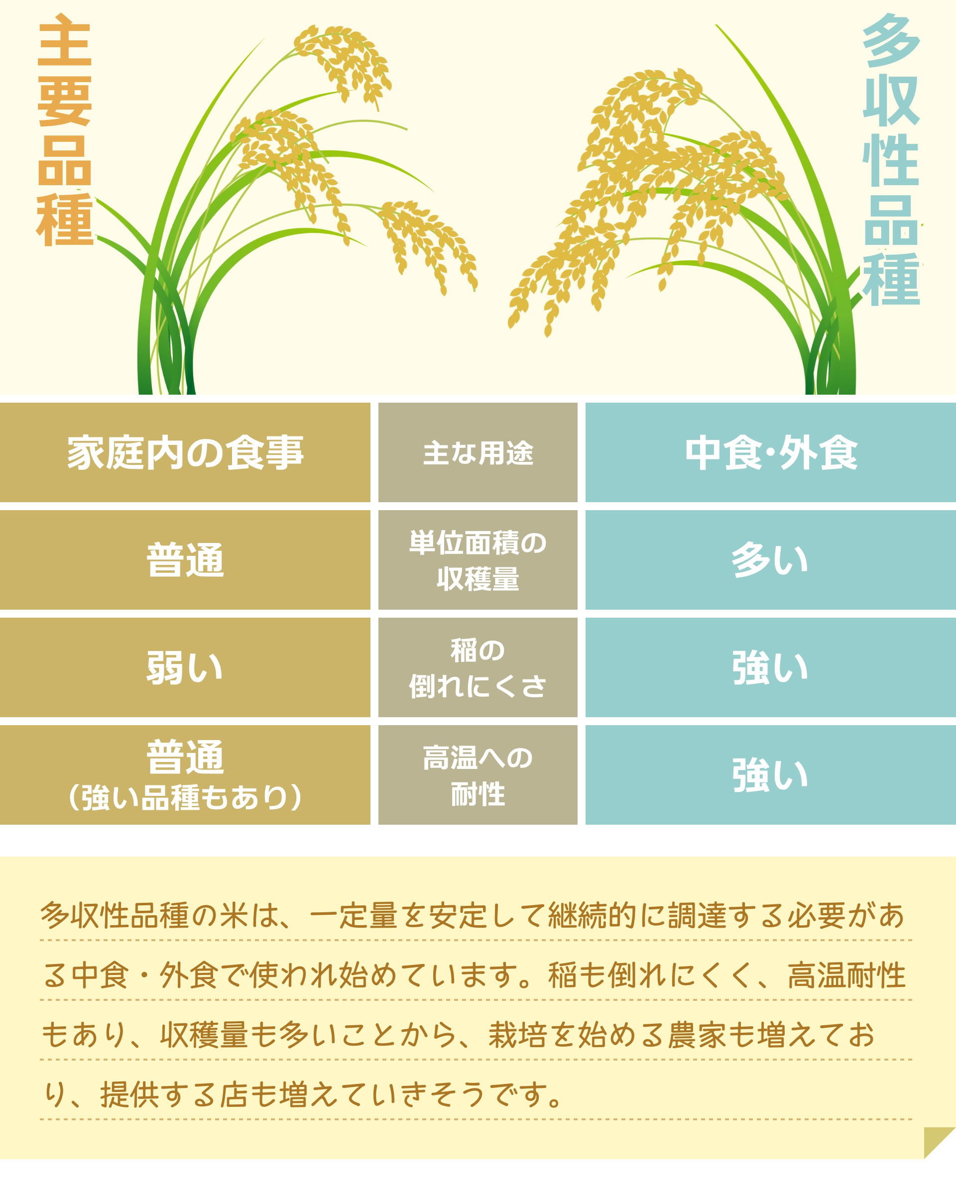 主な用途 主要品種 家庭内の食事 多収性品種 中食・外食 単位面積の収穫量 主要品種 普通 多収性品種 多い 稲の倒れにくさ 主要品種 弱い 多収性品種 強い 高温への耐性 主要品種 普通 (強い品種もあり) 多収性品種 強い 多収性品種の米は、一定量を安定して継続的に調達する必要がある中食・外食で使われ始めています。稲も倒れにくく、高温耐性もあり、収穫量も多いことから、栽培を始める農家も増えており、提供する店も増えていきそうです。