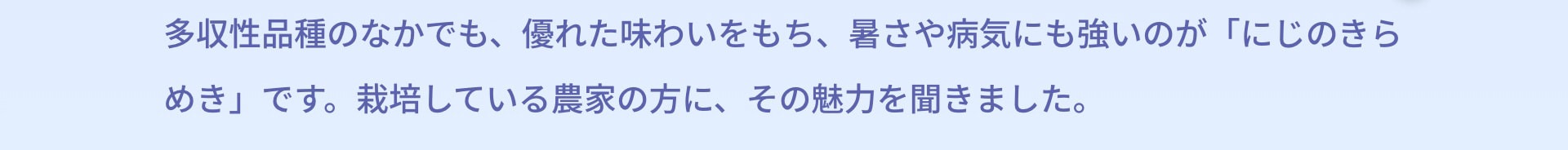 多収性品種のなかでも、優れた味わいをもち、暑さや病気にも強いのが「にじのきらめき」です。栽培している農家の方に、その魅力を聞きました。