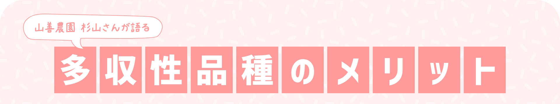 山善農園 杉山さんが語る 多収性品種のメリット