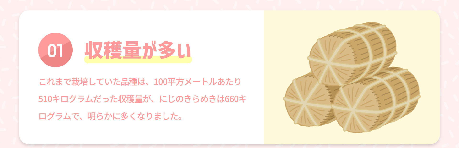01 収穫量が多い これまで栽培していた品種は、100平方メートルあたり510キログラムだった収穫量が、にじのきらめきは660キログラムで、明らかに多くなりました。