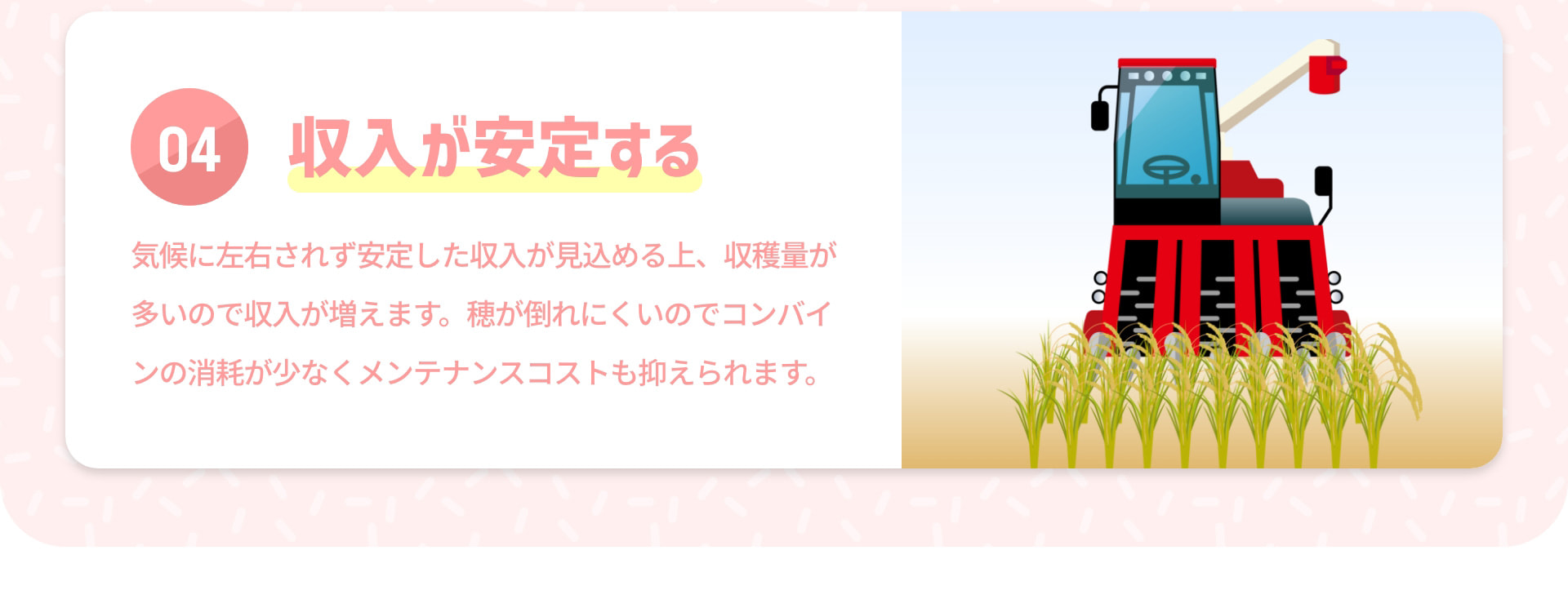 04 収入が安定する 気候に左右されず安定した収入が見込める上、収穫量が多いので収入が増えます。穂が倒れにくいのでコンバインの消耗が少なくメンテナンスコストも抑えられます。