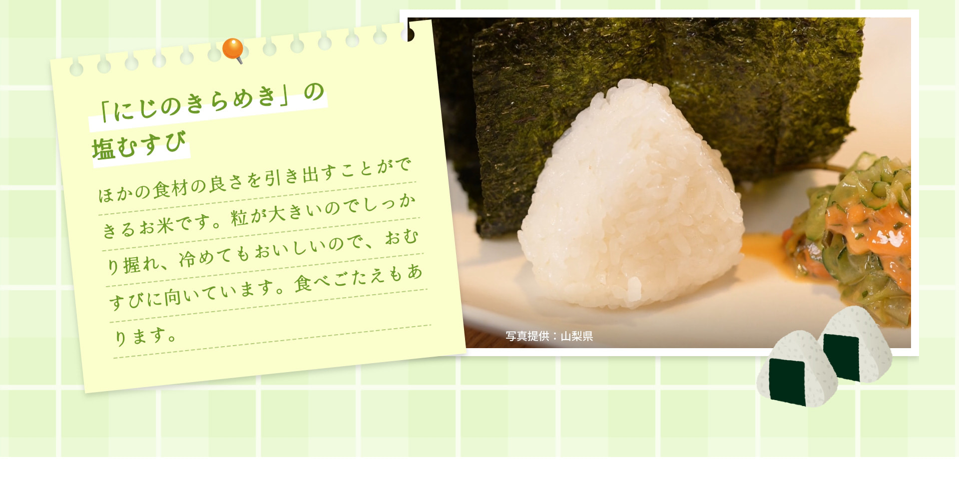 「にじのきらめき」の塩むすび ほかの食材の良さを引き出すことができるお米です。粒が大きいのでしっかり握れ、冷めてもおいしいので、おむすびに向いています。食べごたえもあります。 写真提供：山梨県