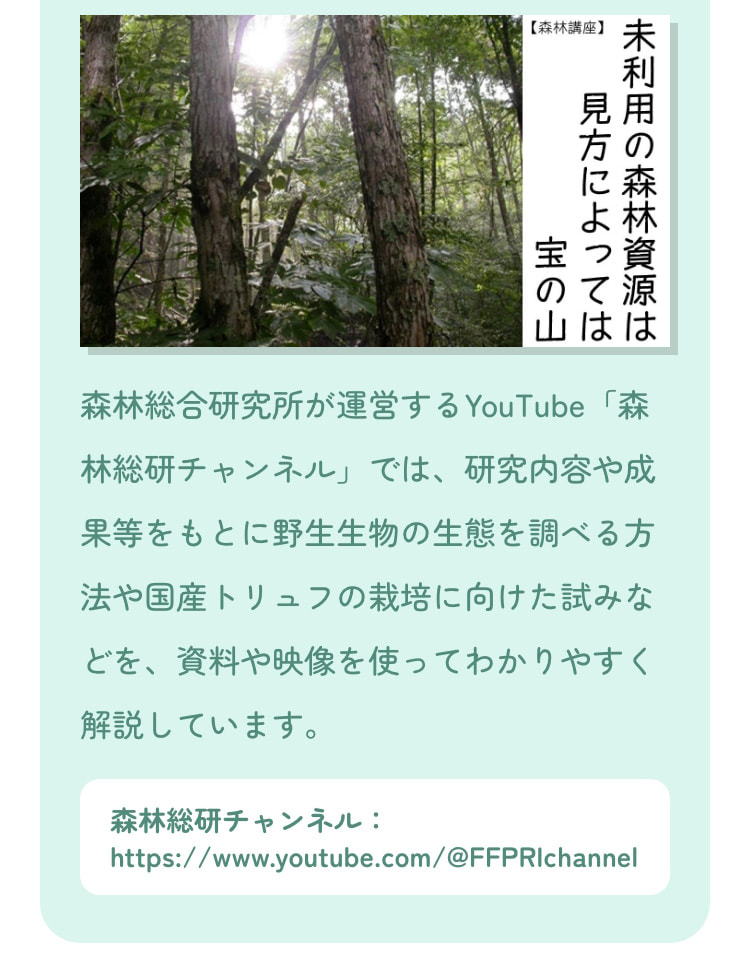 森林総合研究所が運営するYouTube「森林総研チャンネル」では、研究内容や成果等をもとに野生生物の生態を調べる方法や国産トリュフの栽培に向けた試みなどを、資料や映像を使ってわかりやすく解説しています。 森林総研チャンネル：https://www.youtube.com/@FFPRIchannel