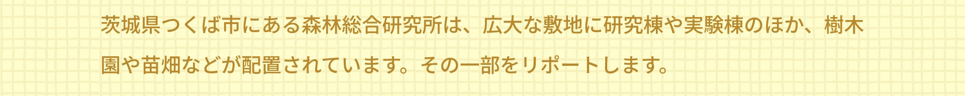 茨城県つくば市にある森林総合研究所は、広大な敷地に研究棟や実験棟のほか、樹木園や苗畑などが配置されています。その一部をリポートします。