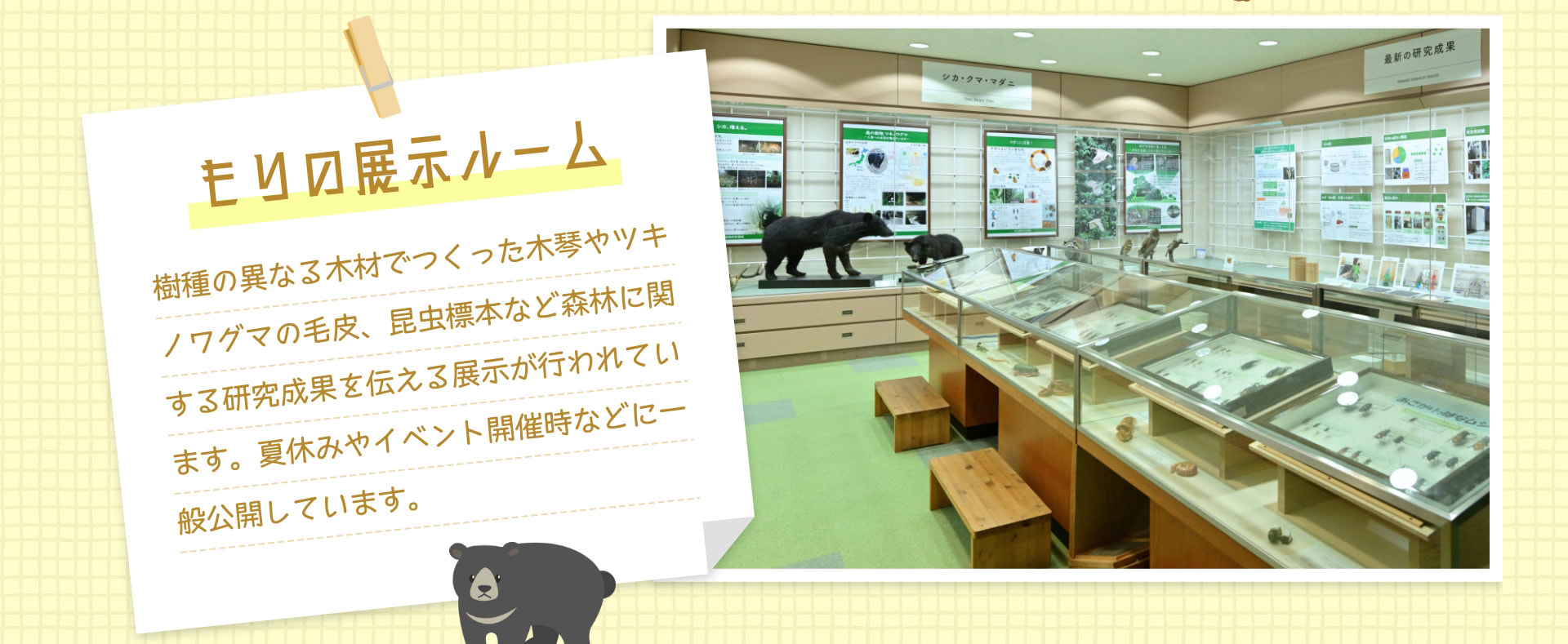 もりの展示ルーム 樹種の異なる木材でつくった木琴やツキノワグマの毛皮、昆虫標本など森林に関する研究成果を伝える展示が行われています。夏休みやイベント開催時などに一般公開しています。