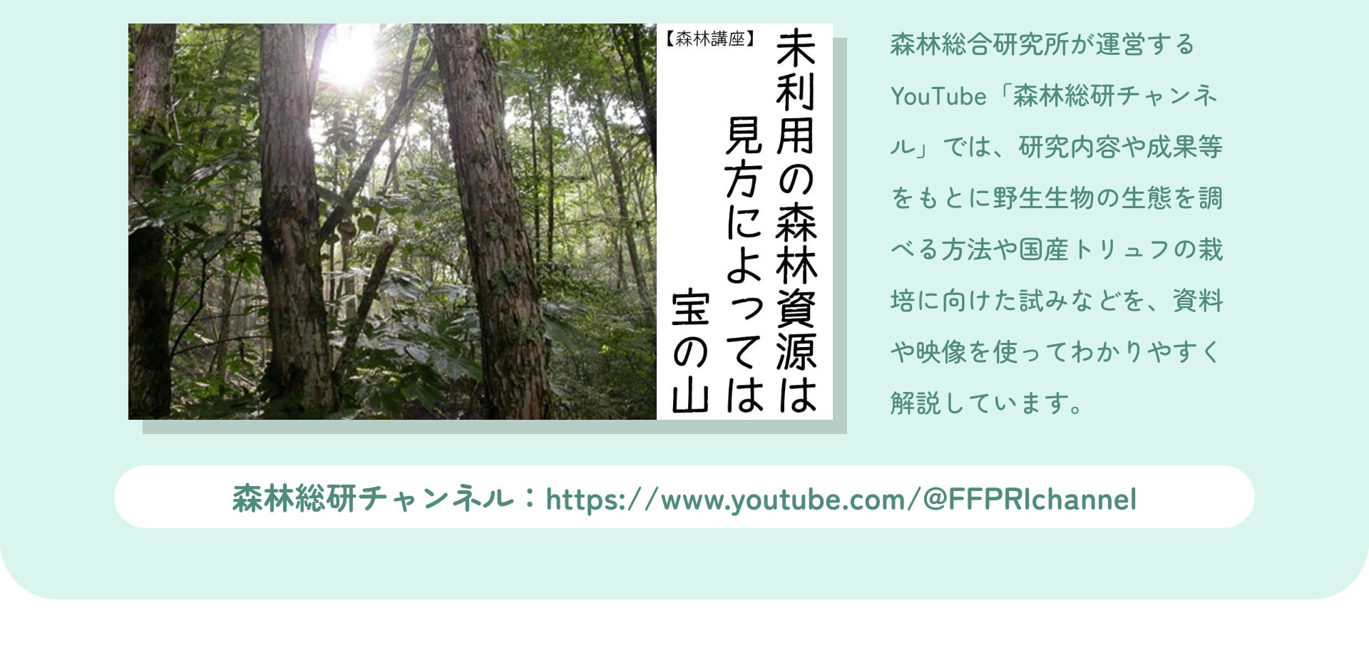 森林総合研究所が運営するYouTube「森林総研チャンネル」では、研究内容や成果等をもとに野生生物の生態を調べる方法や国産トリュフの栽培に向けた試みなどを、資料や映像を使ってわかりやすく解説しています。 森林総研チャンネル：https://www.youtube.com/@FFPRIchannel