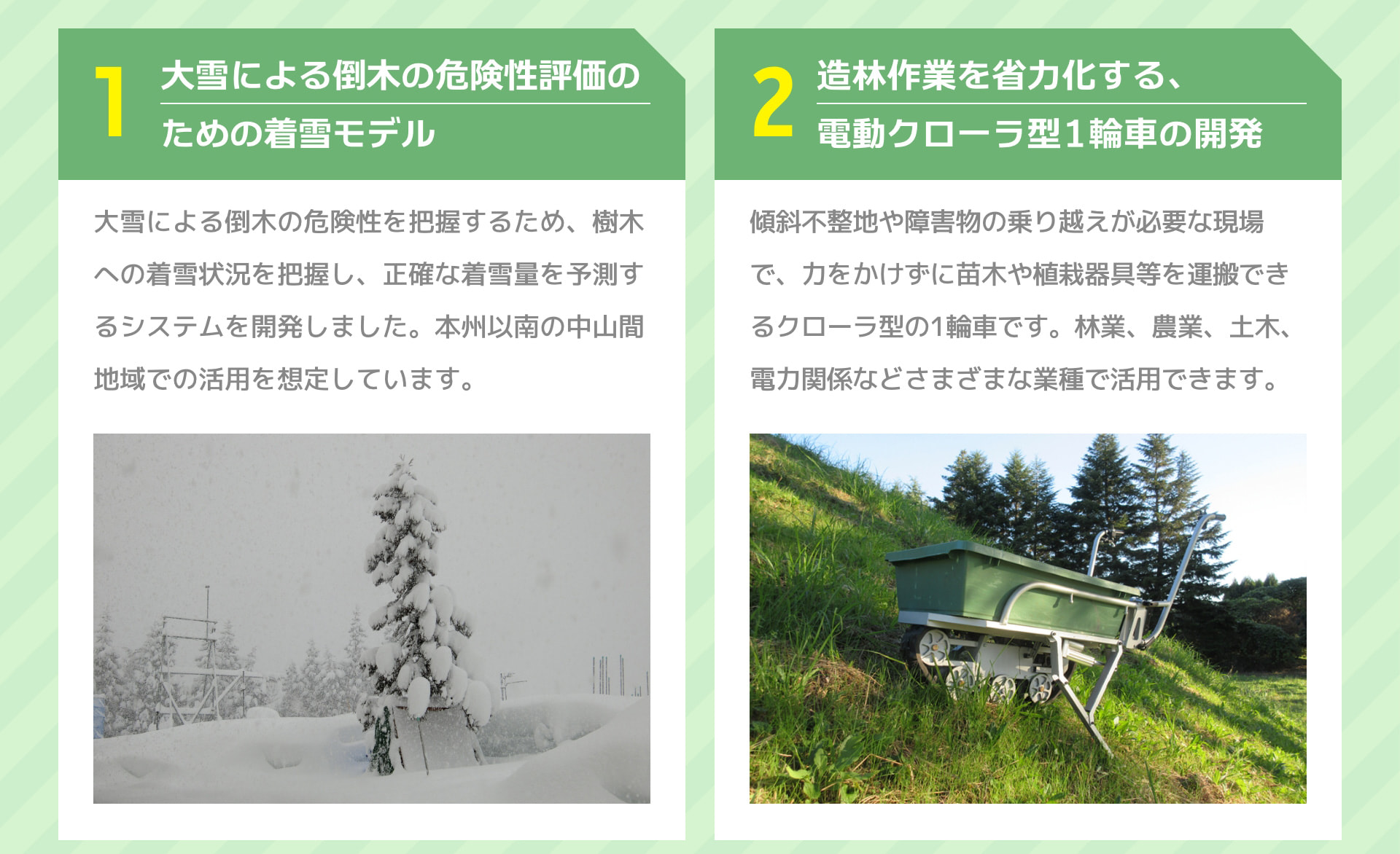 1 大雪による倒木の危険性評価のための着雪モデル 大雪による倒木の危険性を把握するため、樹木への着雪状況を把握し、正確な着雪量を予測するシステムを開発しました。本州以南の中山間地域での活用を想定しています。 2 造林作業を省力化する、電動クローラ型1輪車の開発 傾斜不整地や障害物の乗り越えが必要な現場で、力をかけずに苗木や植栽器具等を運搬できるクローラ型の1輪車です。林業、農業、土木、電力関係などさまざまな業種で活用できます。