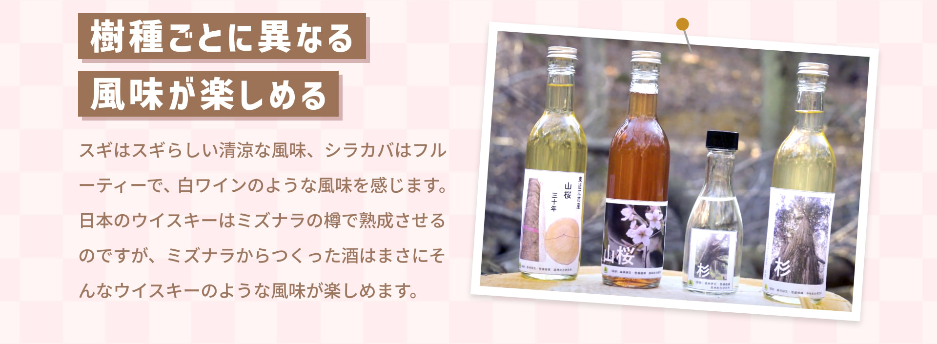樹種ごとに異なる 風味が楽しめる スギはスギらしい清涼な風味、シラカバはフルーティーで、白ワインのような風味を感じます。日本のウイスキーはミズナラの樽で熟成させるのですが、ミズナラからつくった酒はまさにそんなウイスキーのような風味が楽しめます。