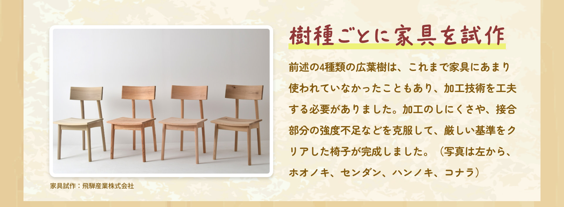 樹種ごとに家具を試作 前述の4種類の広葉樹は、これまで家具にあまり使われていなかったこともあり、加工技術を工夫する必要がありました。加工のしにくさや、接合部分の強度不足などを克服して、厳しい基準をクリアした椅子が完成しました。（写真は左から、ホオノキ、センダン、ハンノキ、コナラ） 家具試作：飛騨産業株式会社