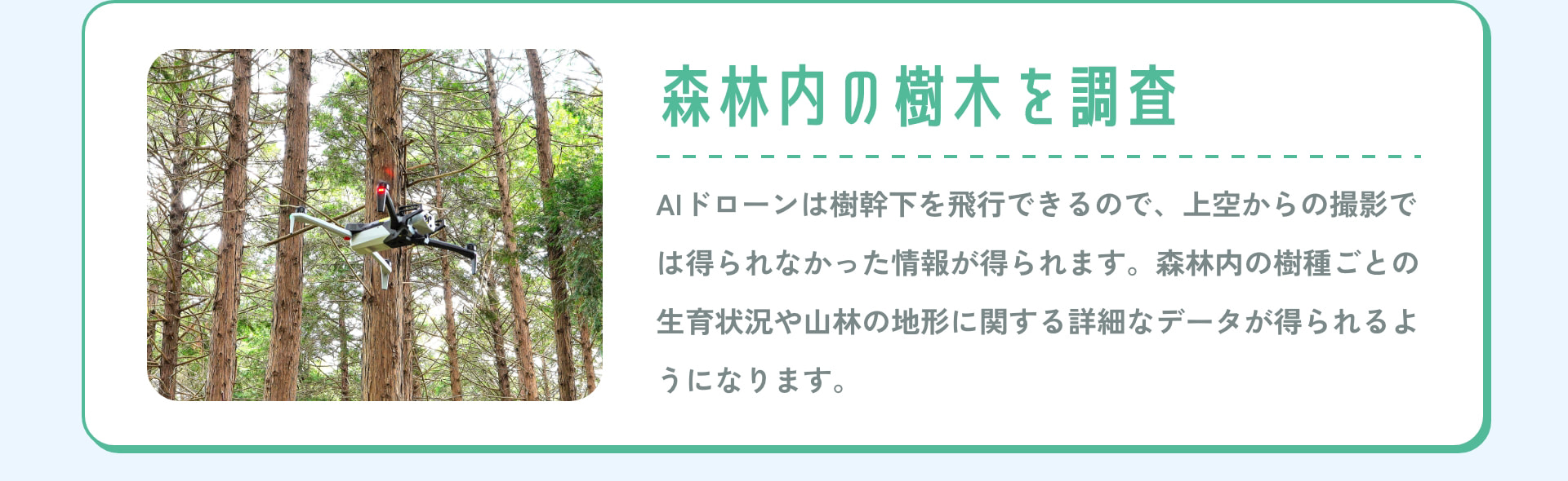 森林内の樹木を調査 AIドローンは樹幹下を飛行できるので、上空からの撮影では得られなかった情報が得られます。森林内の樹種ごとの生育状況や山林の地形に関する詳細なデータが得られるようになります。