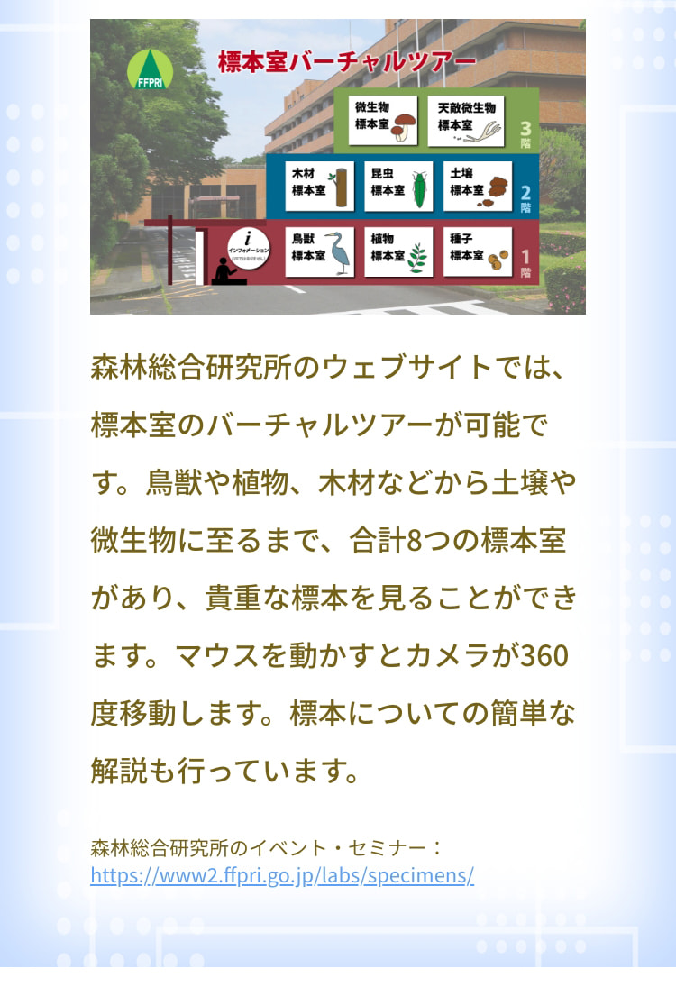 森林総合研究所のウェブサイトでは、標本室のバーチャルツアーが可能です。鳥獣や植物、木材などから土壌や微生物に至るまで、合計8つの標本室があり、貴重な標本を見ることができます。マウスを動かすとカメラが360度移動します。標本についての簡単な解説も行っています。 FFPRI 標本室バーチャルツアー 微生物標本室 天敵微生物標本室 3階 木材標本室 昆虫標本室 土壌標本室 2階 インフォメーション 鳥獣標本室 植物標本室 種子標本室 1階 森林総合研究所のイベント・セミナー : https://www2.ffpri.go.jp/labs/specimens/
