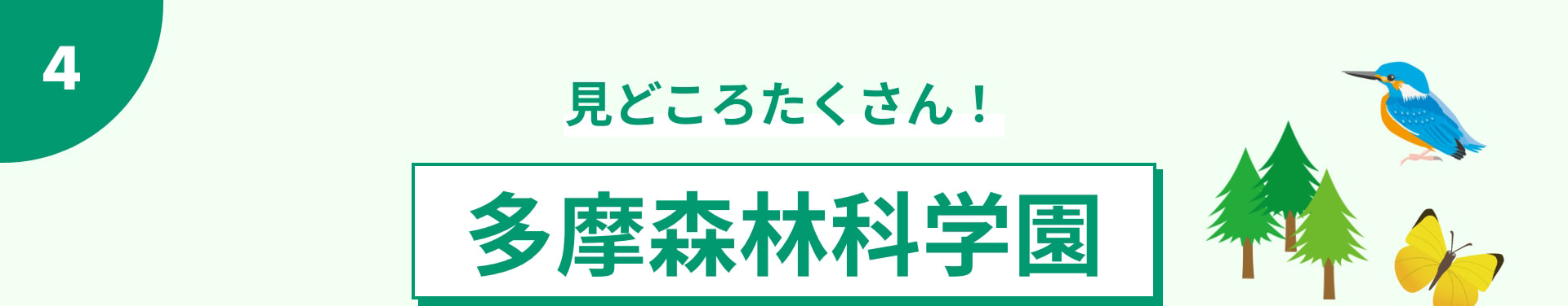 見どころたくさん！ 多摩森林科学園