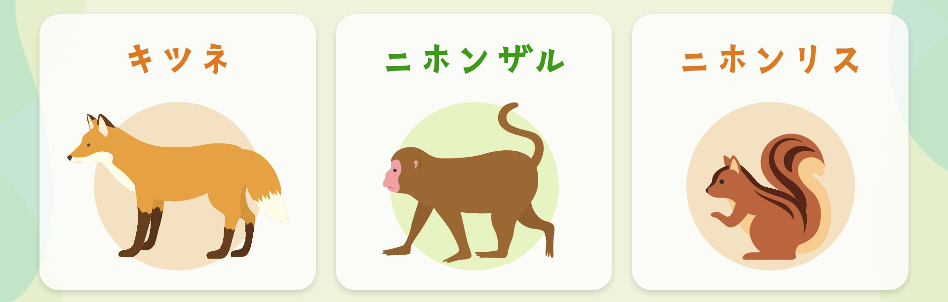 キツネ ニホンザル ニホンリス