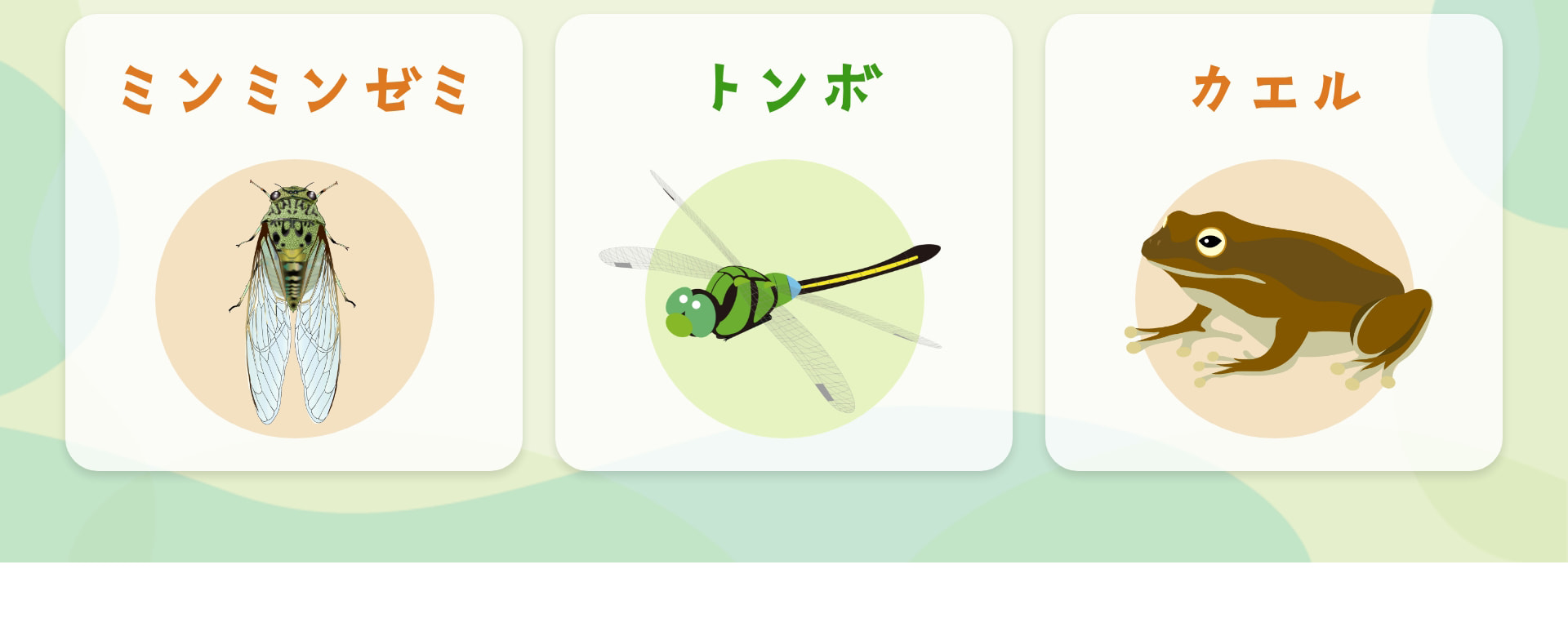 ミンミンゼミ トンボ カエル