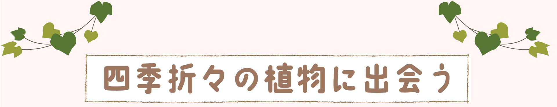 四季折々の植物に出会う