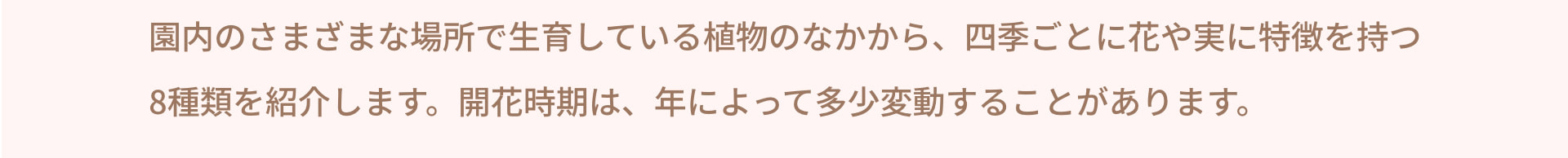 園内のさまざまな場所で生育している植物のなかから、四季ごとに花や実に特徴を持つ8種類を紹介します。開花時期は、年によって多少変動することがあります。
