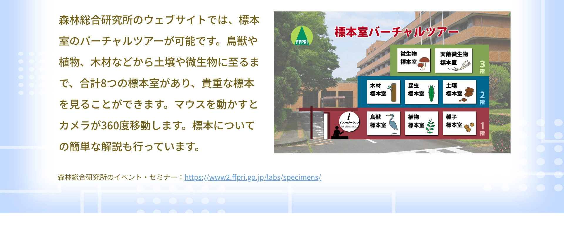 森林総合研究所のウェブサイトでは、標本室のバーチャルツアーが可能です。鳥獣や植物、木材などから土壌や微生物に至るまで、合計8つの標本室があり、貴重な標本を見ることができます。マウスを動かすとカメラが360度移動します。標本についての簡単な解説も行っています。 FFPRI 標本室バーチャルツアー 微生物標本室 天敵微生物標本室 3階 木材標本室 昆虫標本室 土壌標本室 2階 インフォメーション 鳥獣標本室 植物標本室 種子標本室 1階 森林総合研究所のイベント・セミナー : https://www2.ffpri.go.jp/labs/specimens/