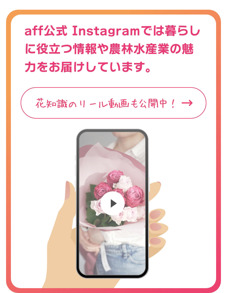 aff公式 Instagramでは暮らしに役立つ情報や農林水産業の魅力をお届けしています。花知識のリール動画も公開中！　https://www.instagram.com/aff_maffjapan/