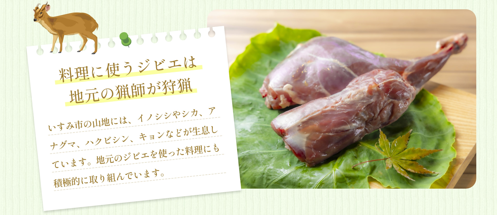 料理に使うジビエは 地元の猟師が狩猟 いすみ市の山地には、イノシシやシカ、アナグマ、ハクビシン、キョンなどが生息しています。地元のジビエを使った料理にも積極的に取り組んでいます。