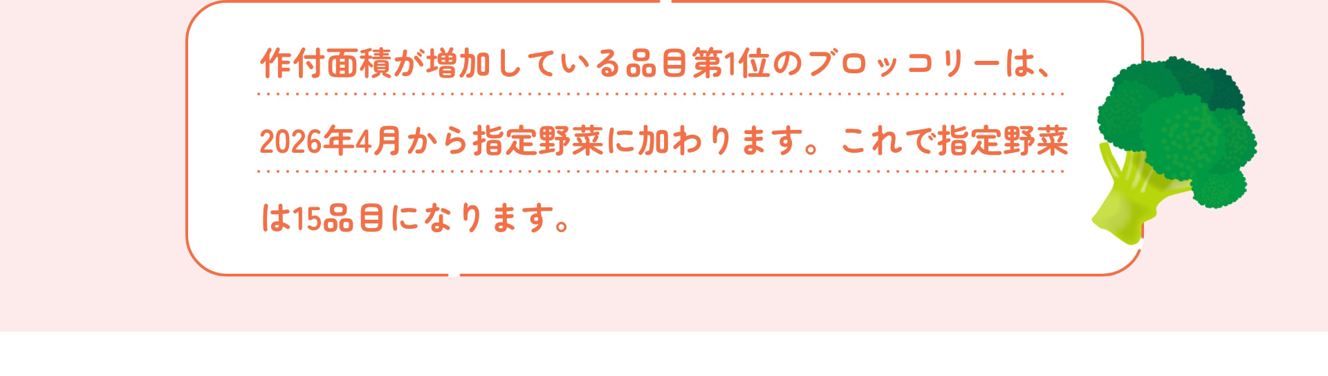 作付面積が増加している品目第1位のブロッコリーは、 2026年4月から指定野菜に加わります。これで指定野菜は15品目になります。