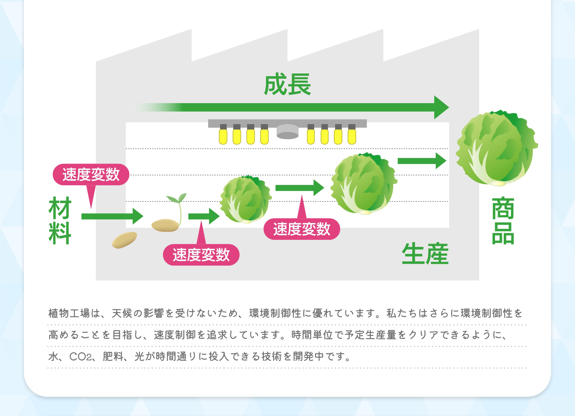 材料 速度変数 生産 速度変数 速度変数 成長 商品 植物工場は、天候の影響を受けないため、環境制御性に優れています。私たちはさらに環境制御性を高めることを目指し、速度制御を追求しています。時間単位で予定生産量をクリアできるように、水、CO2、肥料、光が時間通りに投入できる技術を開発中です。